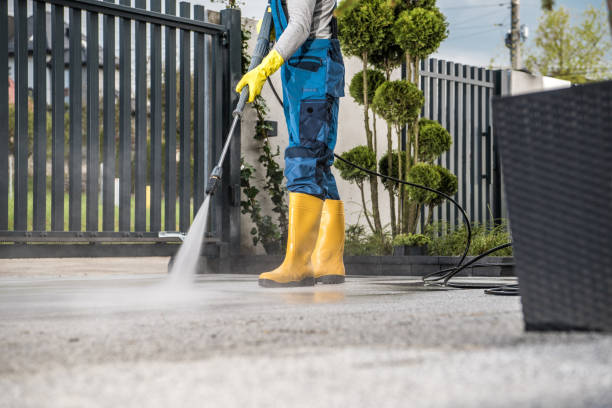 Best Roof Pressure Washing  in Waukegan, IL