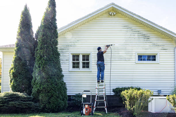 Best Pressure Washing Siding  in Waukegan, IL